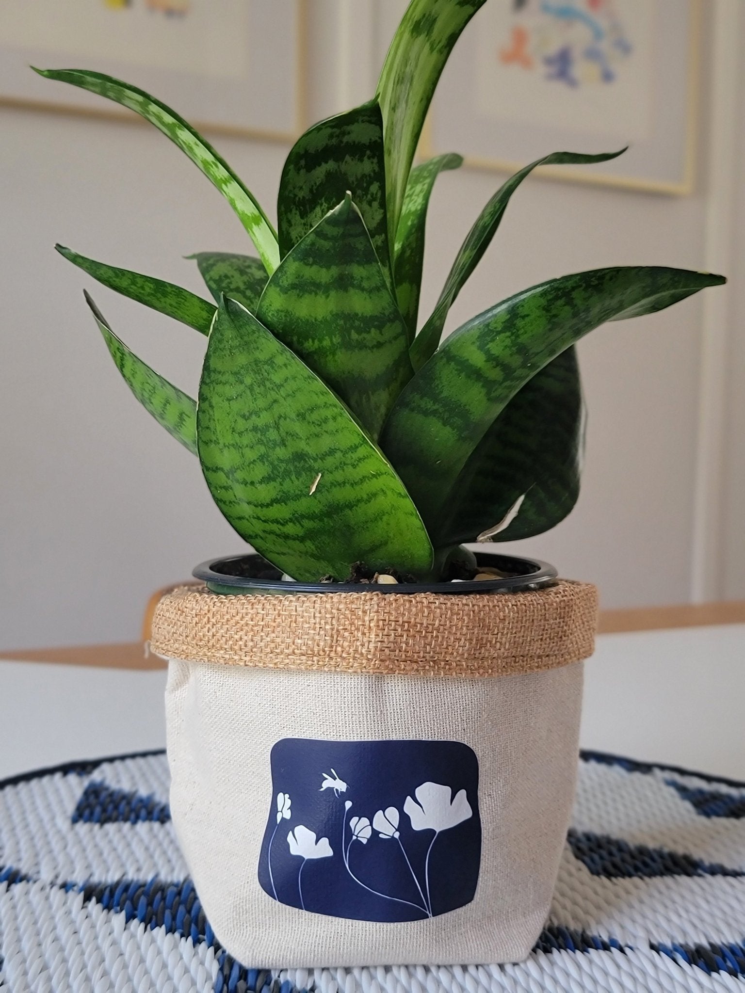 Plant Pot Cover-From my backyard-4