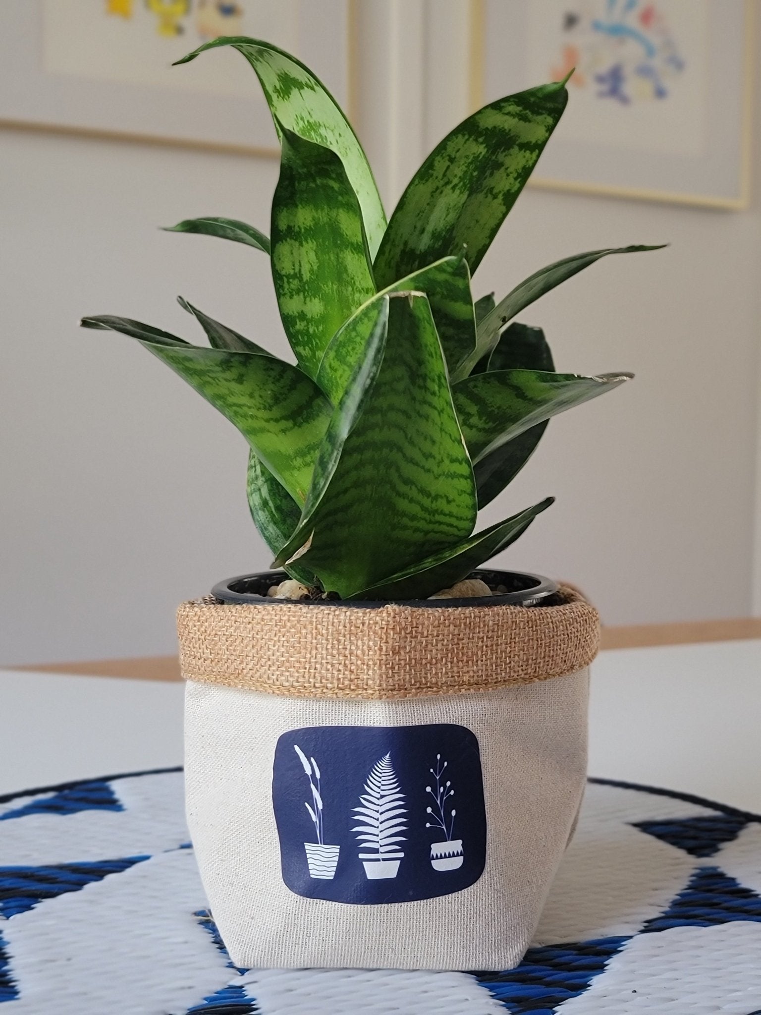 Plant Pot Cover-From my backyard-3