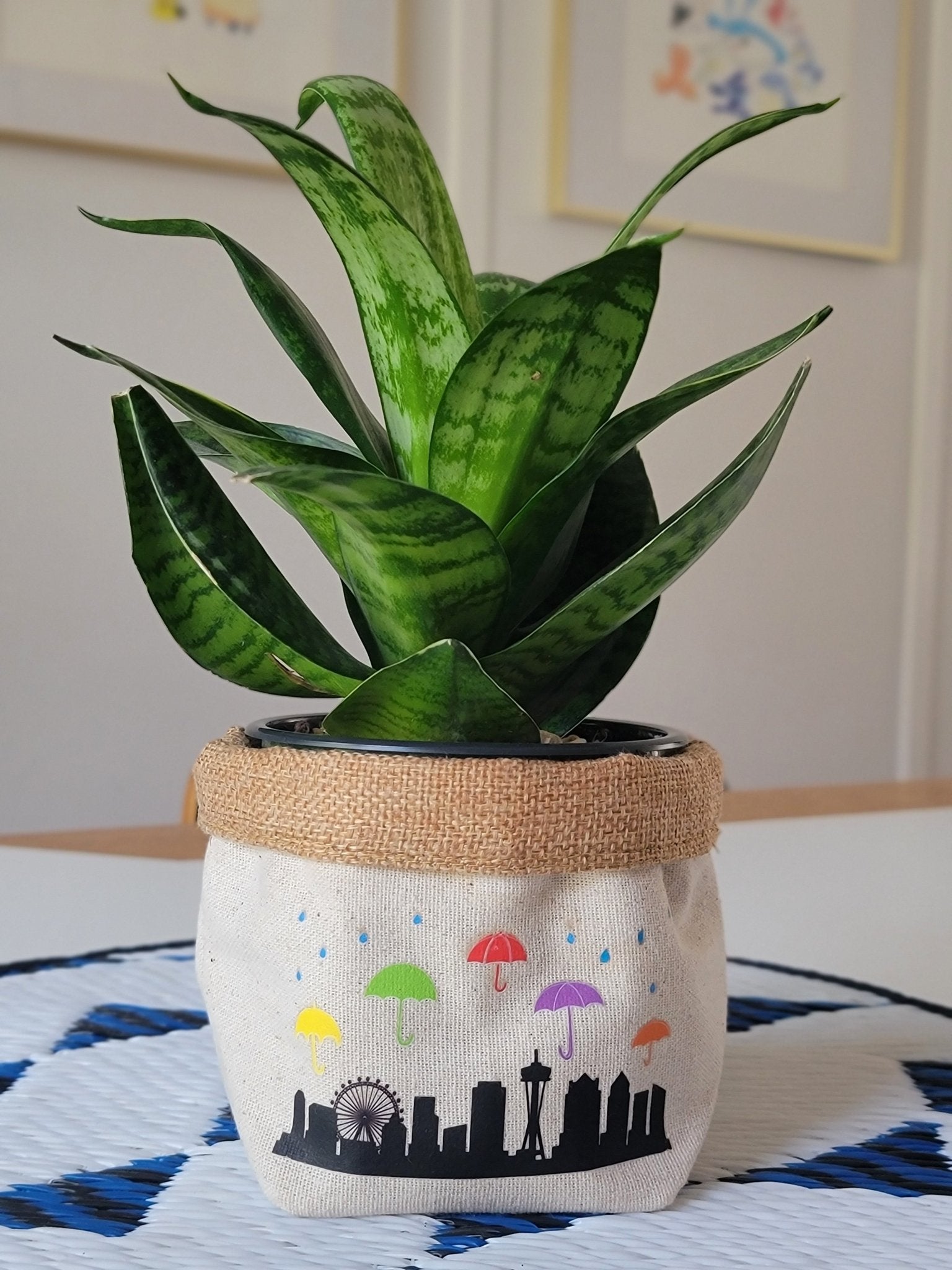 Plant Pot Cover-In Seattle-3