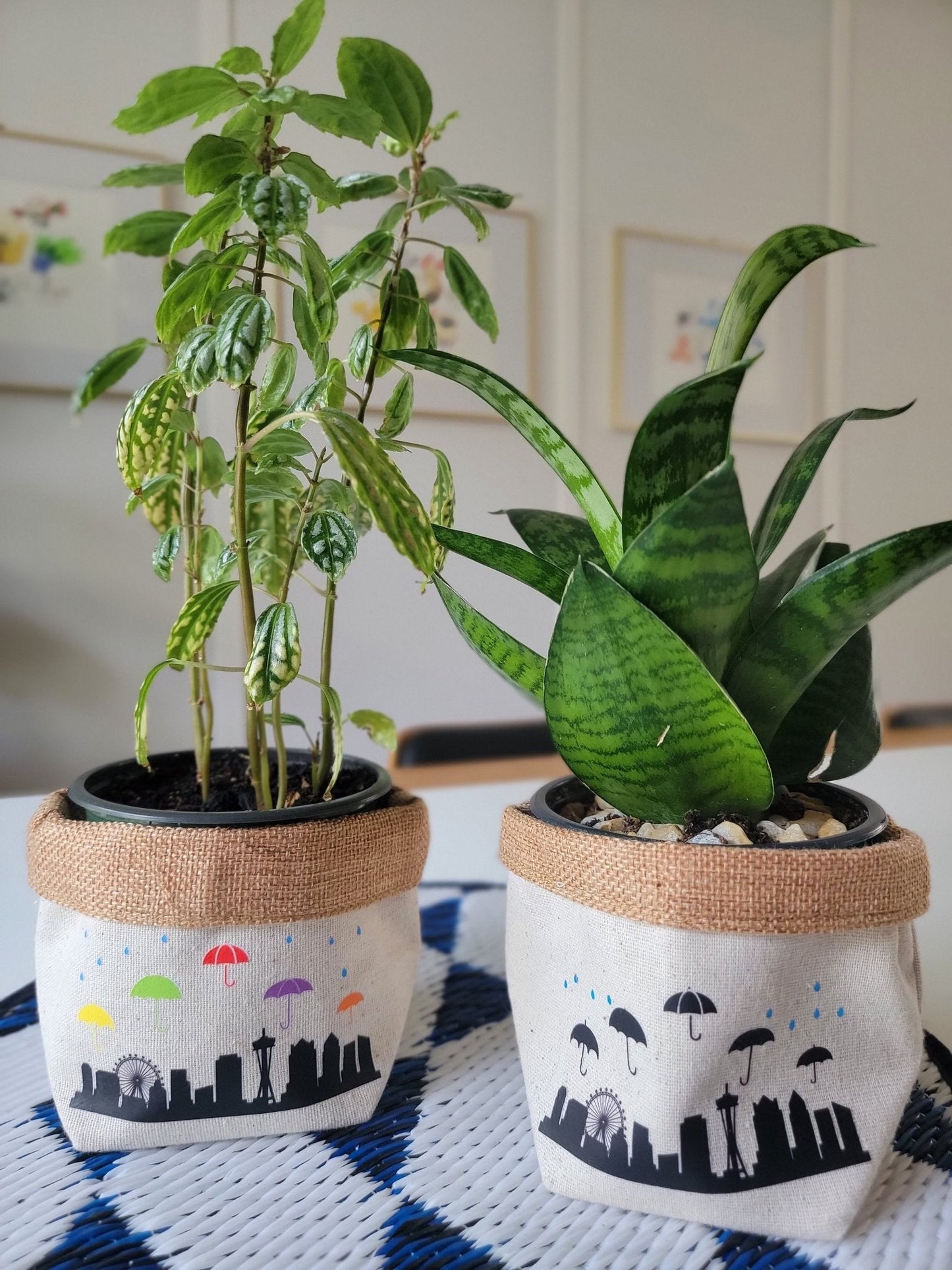 Plant Pot Cover-In Seattle-6