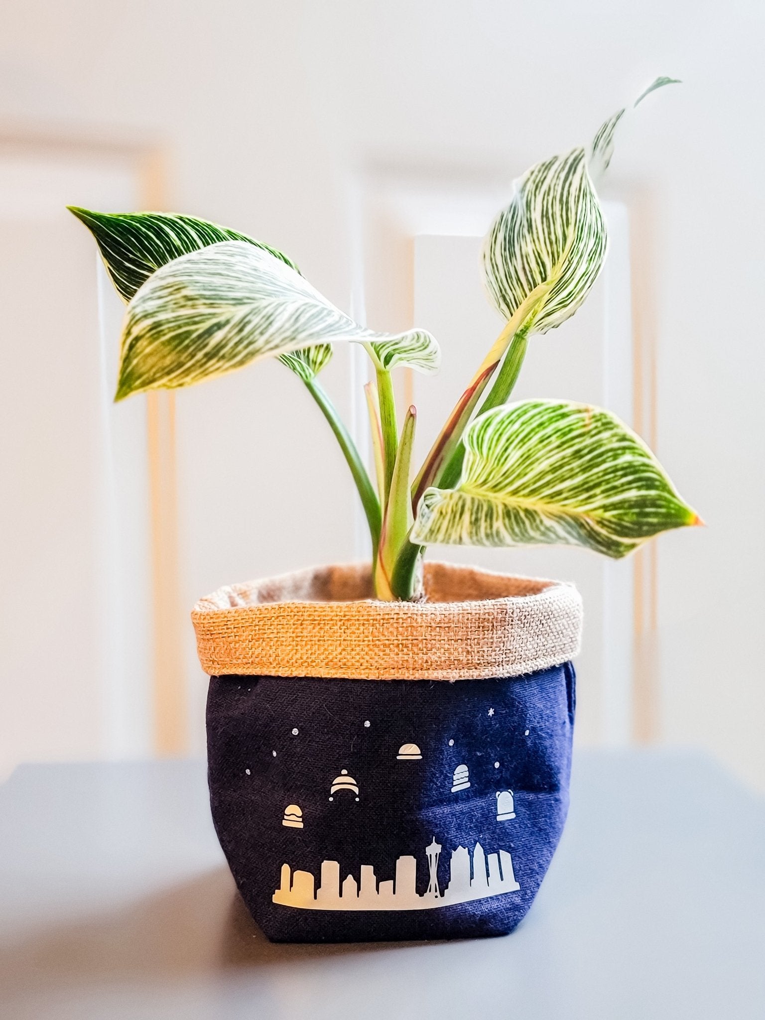 Plant Pot Cover-In Seattle-7