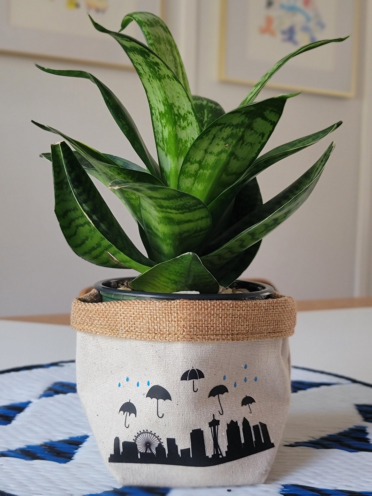 Plant Pot Cover-In Seattle-5