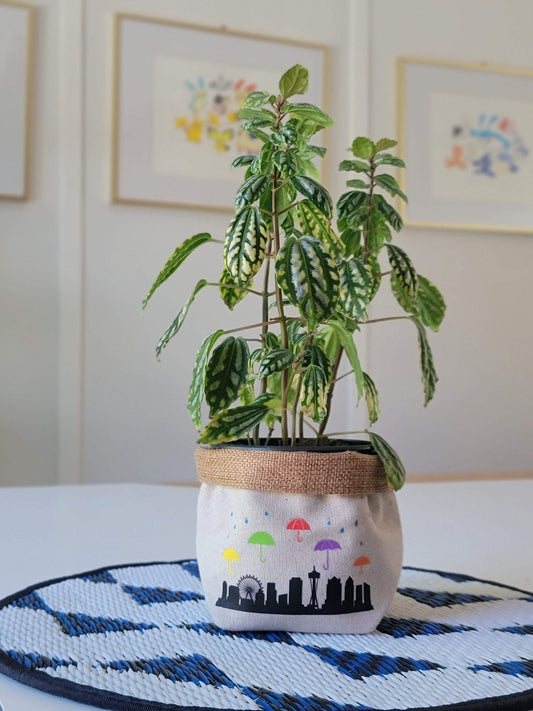 Plant Pot Cover-In Seattle-1
