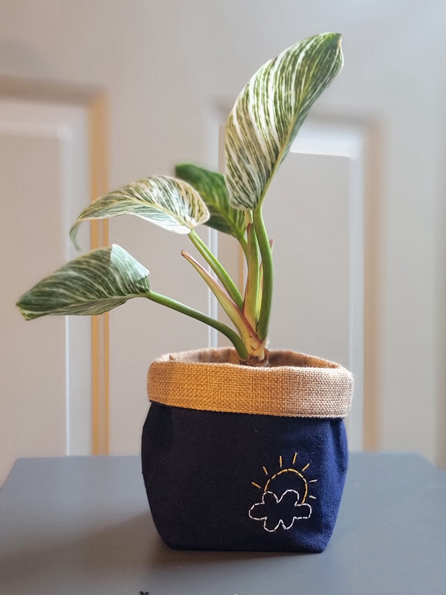 Plant Pot Cover-Partly cloudy-4