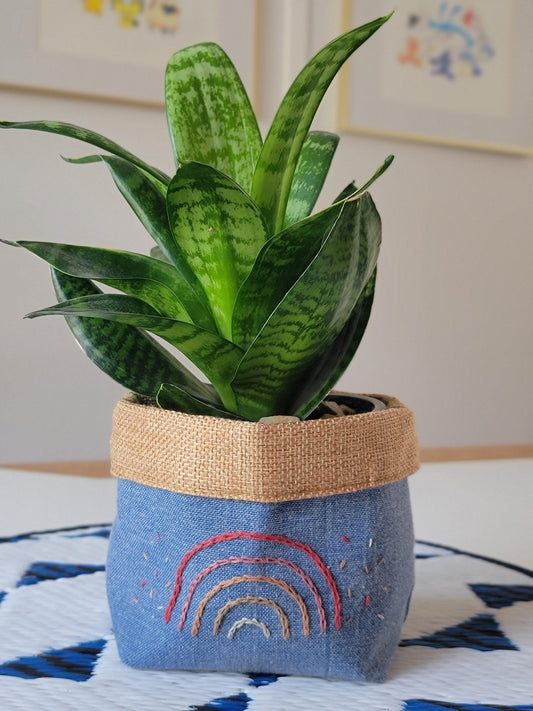 Plant Pot Cover-Rainbow and sprinkle-1