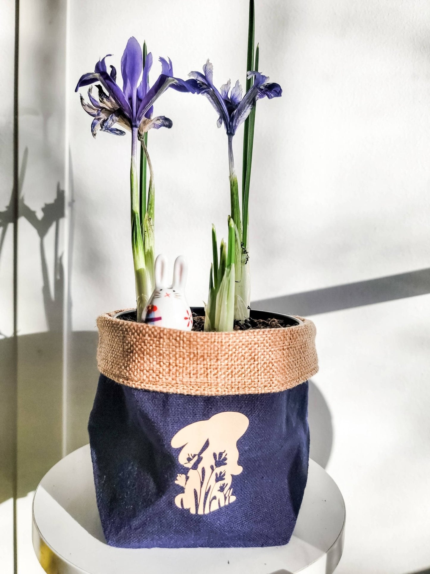 Plant Pot Cover-Bunny and Iris-4