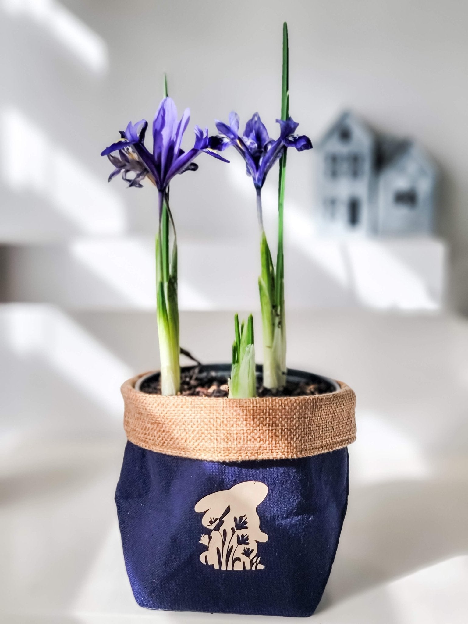 Plant Pot Cover-Bunny and Iris-1