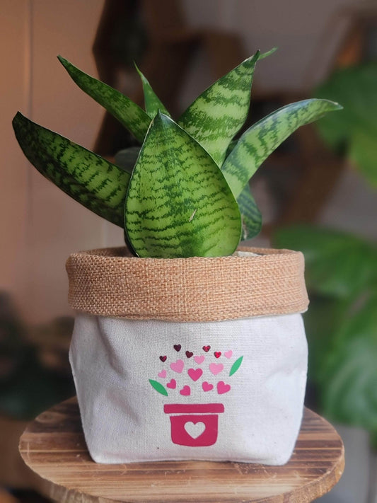 Plant Pot Cover-Love grows-1
